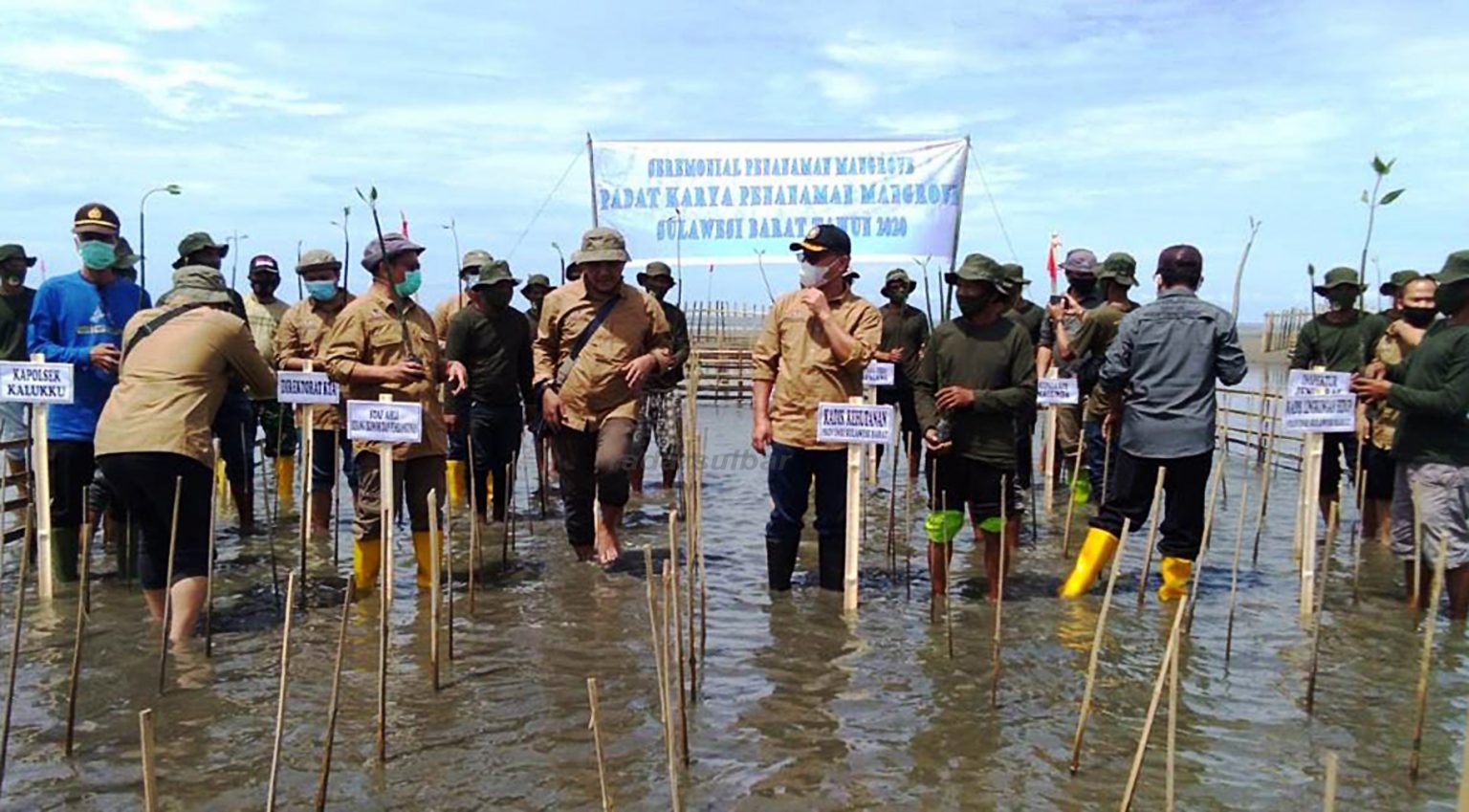 SEREMONIAL penanaman mangrove dalam rangka pemulihan ekonomi di pesisir Dusun Papalang Pantai, Desa Papalang, Kecamatan Papalang, Mamuju, Kamis 19 November 2020.