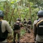 Asah Kemampuan Personel, Brimob Bone Laksanakan Latihan Jungle Warfare