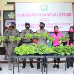 Satbtimob Polda Sulsel Panen Sayur Hasil Hidroponik Dan Ikan Nila