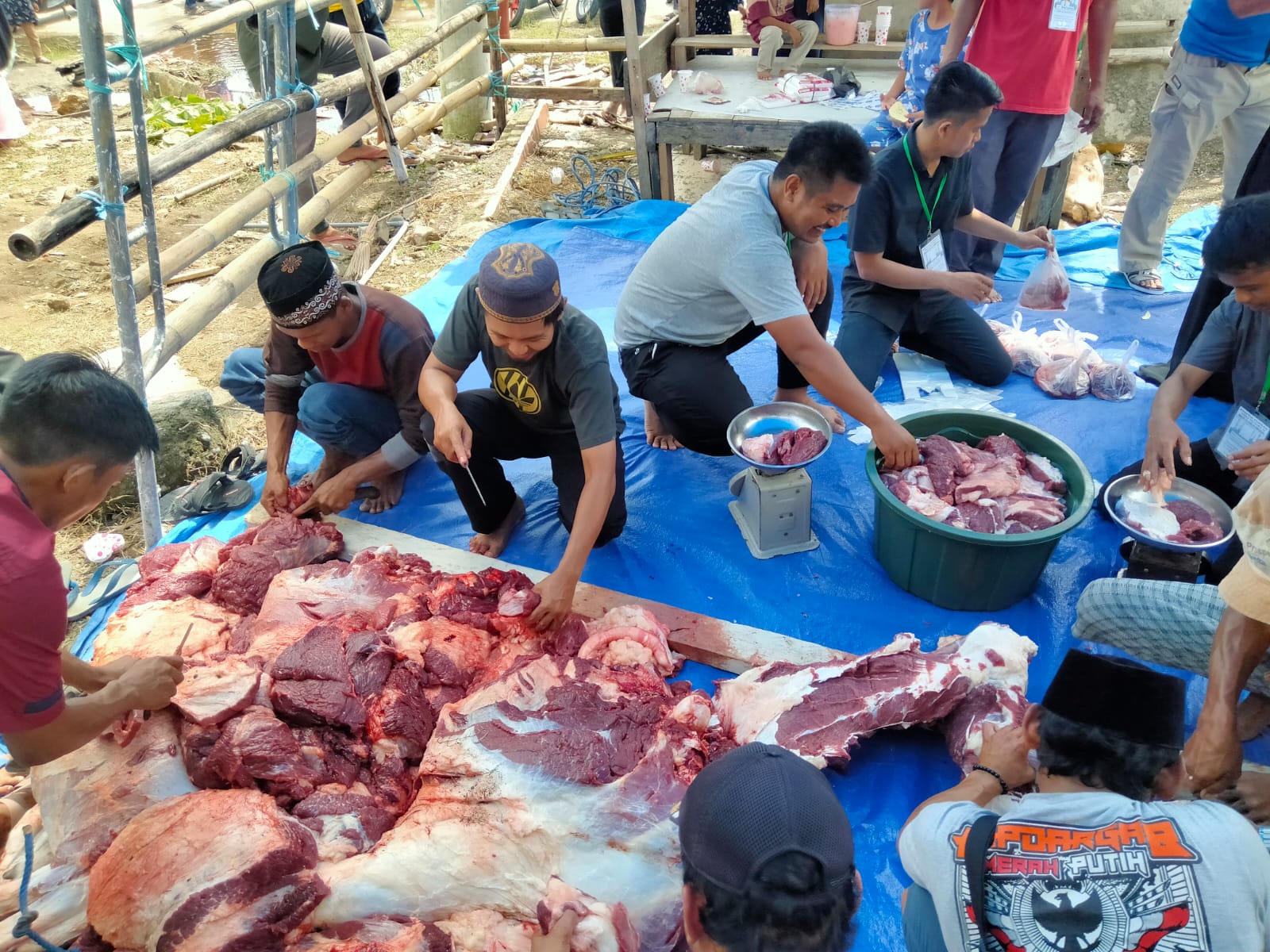 Antusias warga Simbuang, Kelurahan Simboro, Kecamatan Simboro, Kabupaten Mamuju, Provinsi Sulawesi Barat l (Sulbar),saat menerima daging sapi kurban dari Presiden Jokowi Dodo. (Foto Musraho/ Rakyatsulbar.com)