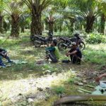 Petani Sawit di Sulbar Sambut Gembira Pemerintah Kembali Buka Kran Eskpor CPO