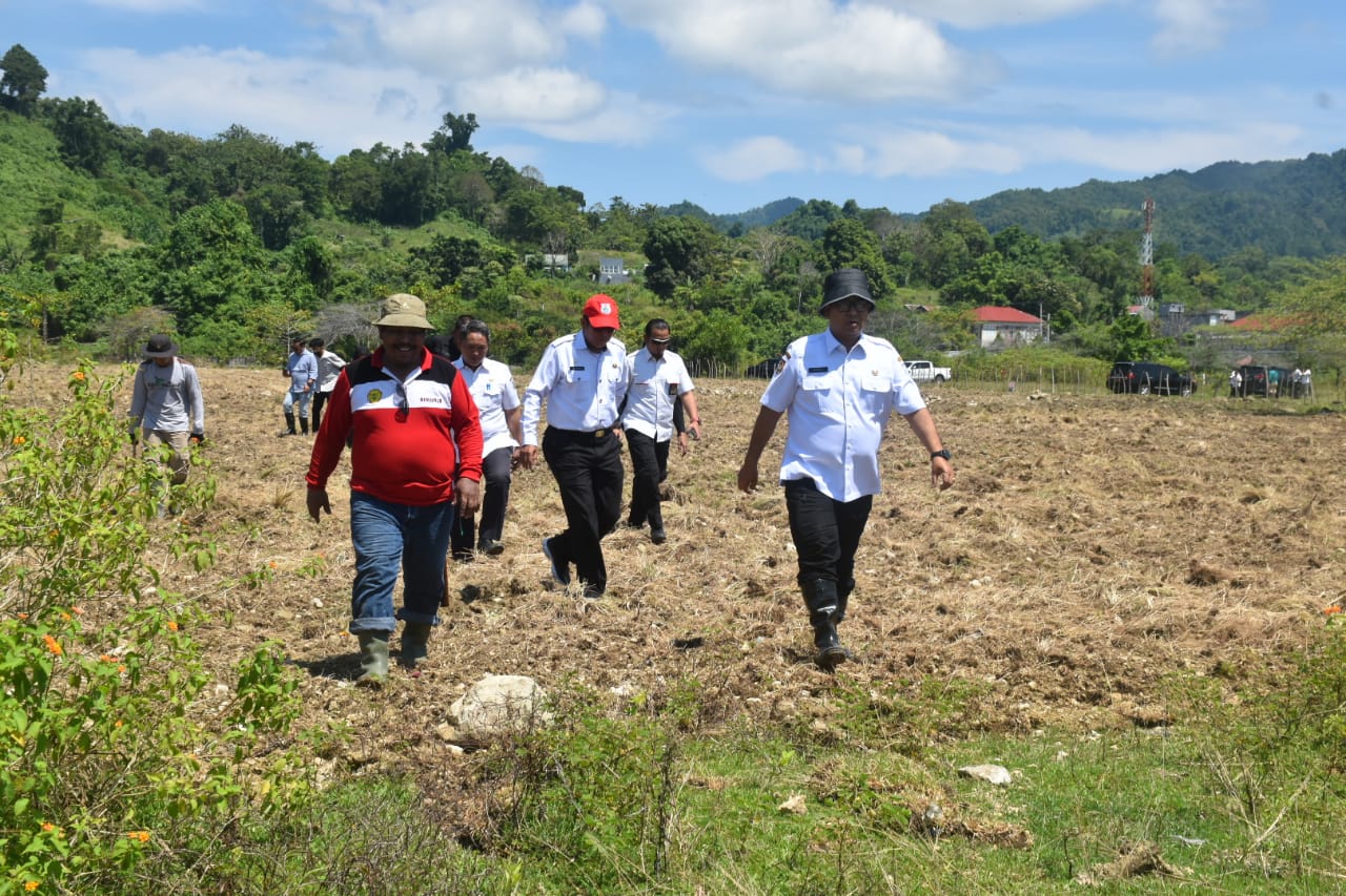 Akmal Malik saat meninjau lahan perkebunan yang baru dibuka oleh Dinas Perkebunan Sulbar, di Samping Jalan Arteri Mamuju, Kecamatan Simboro, dan Kelurahan Rangas, Rabu (27/7/2022).