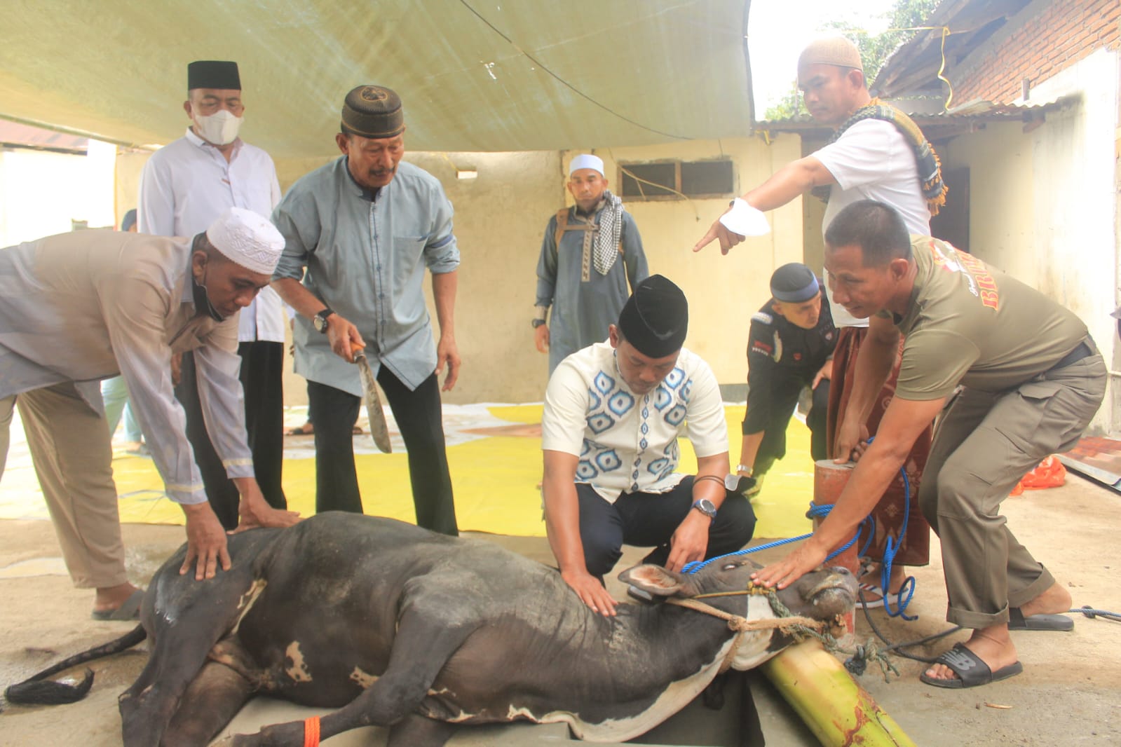 Satbrimob Polda Sulsel Sembelih 128 ekor Hewan Kurban