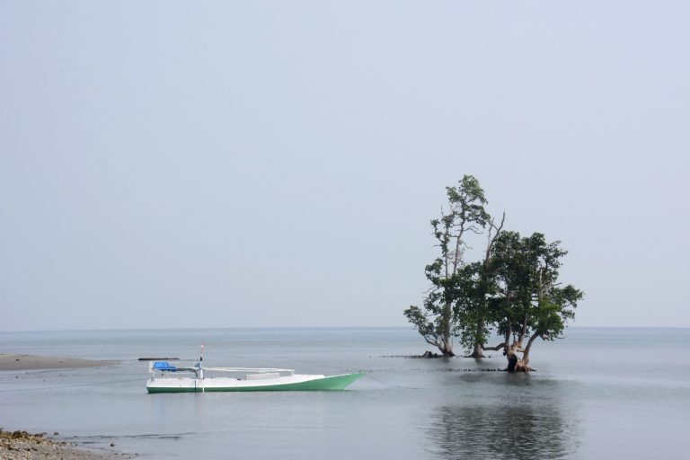 Pantai Pasangkayu