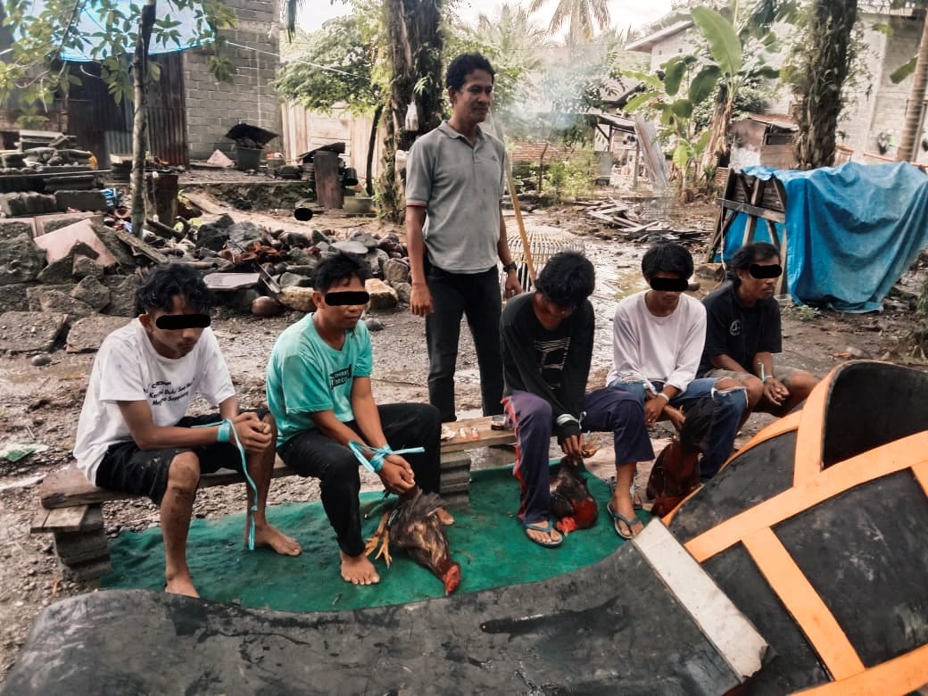 Lima Pelaku Judi Sabung Ayam di Amankan Polisi