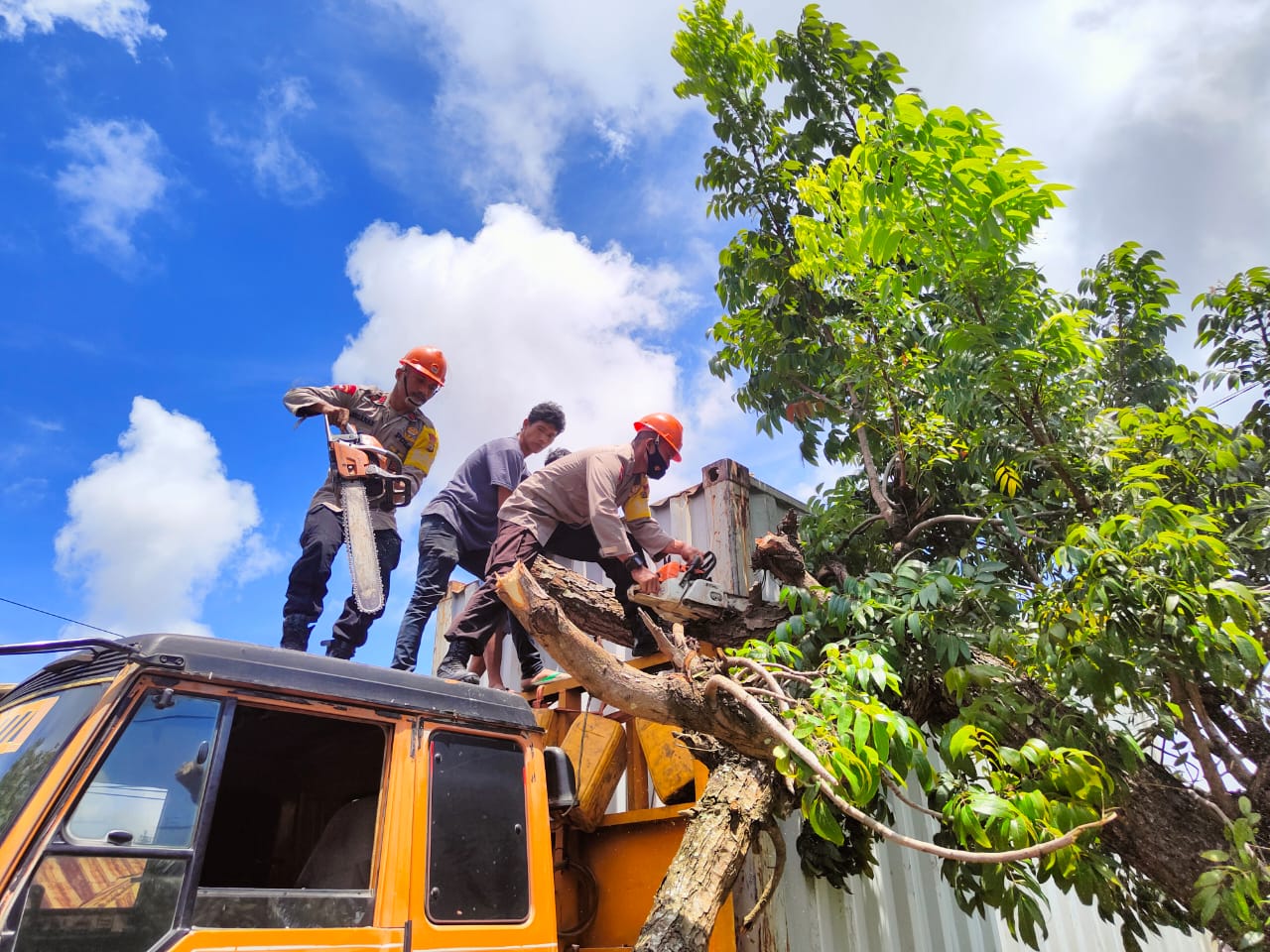 Tim SAR Brimob Bone Evakuasi Truk Kontainer Tertimpa Pohon Tumbang