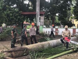 Aksi Bersama Brimob Bone dan Koramil Barebbo Bantu Pegawai Kecamatan Barebbo Potong Pohon Berukuran Besar