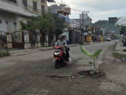 Kesal Akses Jalan Rusak, Warga Jl.Andi Dai Tanam Pisang di Tengah Jalan