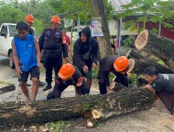 Tim SAR Brimob Bone Evakuasi Pohon Tumbang yang Sebabkan Kemacetan