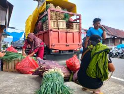 Berburu Sayuran Hingga ke Mobil Pak Rian