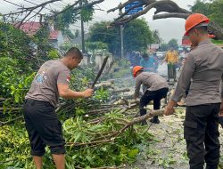 Brimob Bone Gerak Cepat Evakuasi Pohon Tumbang di Poros Bone Wajo