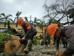 Tim SAR Batalyon C Pelopor Evakuasi Pohon Tumbang di Poros Bone – Wajo