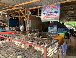 Pedagang Ayam Potong di Pasar Baru Mamuju Buka Promo Ramadan