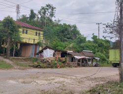 Akibat Pohon Tumbang, Kabel Melintang di Tengah Jalan