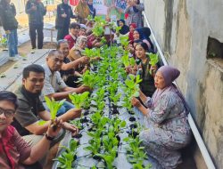 Terapkan Pertanian Modern di Perkotaan, Mahatani Unhas Panen Sayur Bersama Masyarakat