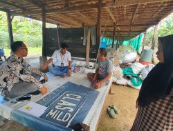 PLN UP3 Mamuju Kunjungi Peternak Ayam di Polman