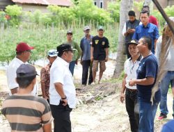 Temui Petani Sampaga, Bahtiar Dorong Sulbar Miliki Brand Sendiri atas Produk Perkebunan