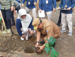 Momentum Peringatan Hari Statistik, BPS Sulbar Bersama Pj Gubernur Tanam Pohon Sukun