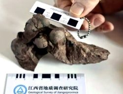 Temuan Fosil Telur Terkecil di China Ungkap Spesies Baru Dinosaurus Theropoda