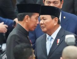 Intip Perbedaan Gaya Jokowi dan Prabowo Dalam Menyeleksi Calon Menteri