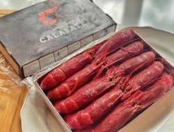 Carabineros Shrimp Menjadi Bintang di Dunia Kuliner