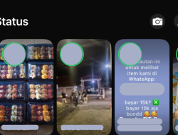 Status WhatsApp Dirubah, Makin Minimalis dan Keren!