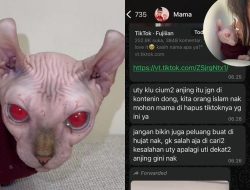 Kado Ulang Tahun Kucing Rp 80 Juta Bikin Oma Gala Panik Salah Paham yang Mengundang Gelak Tawa!