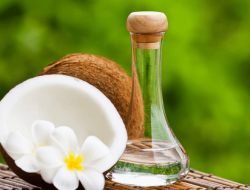 Manfaat Virgin Coconut Oil (VCO) bagi Kesehatan dan Kecantikan Alami