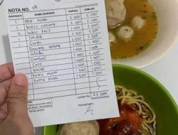 Bakso Rincian Super, Bawang Goreng dan Seledri Ikut di Hitung, Netizen Ngakak