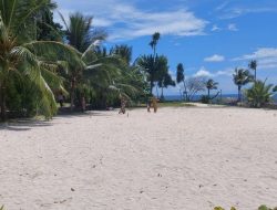 Keindahan Bawah Laut Pantai Jikomalamo Ternate, Surga Para Diver