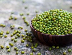 Kacang Hijau Si Kecil yang Kaya Nutrisi dan Manfaat untuk Kesehatan