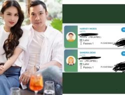 Geger! Sandra Dewi dan Suami Terdaftar Sebagai Peserta BPJS Kesehatan Kelas 3, Ini Faktanya