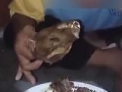 Tragis! Anak Down Syndrome di Bandung Dipaksa Makan Kepala Musang demi Konten Viral