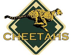 Asia Koshien Seri Indonesia 2024 Dimenangkan oleh Tim Jakarta Cheetahs