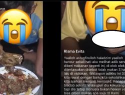 Viral ABK Dirundung Dipaksa Memakan Daging Musang