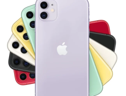 Harga iPhone Februari 2025: Lebih Terjangkau, Ini Daftar Pilihnnya