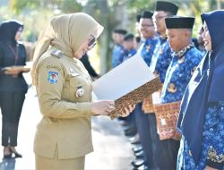 Warning ! PPPK Mamuju Akan Segera Dievaluasi